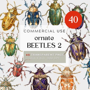 May include: A set of 40 ornate beetle illustrations. The beetles are depicted in a variety of colours, including gold, red, blue, green, and black. They are all highly detailed and have intricate patterns. The illustrations are perfect for use in digital or printed projects.