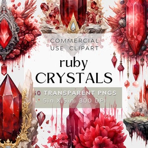 50 Floral Ruby Crystals Clipart, July Birthstone Clipart, Gemstone transparent png- Digital watercolor pack- commercial use, bundle