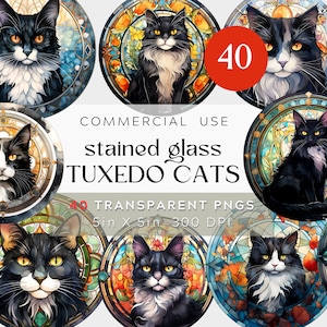Buntglas Tuxedo Katze Clipart, Mandala Aquarell Clipart BUNDLE Glasmalerei KATZEN, Kathedrale Katzen Transparent Kommerzielle Nutzung, Tuxedoes