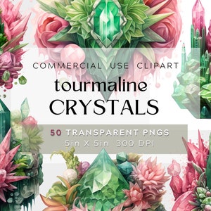 50 bloemen toermalijn kristallen clipart, oktober Birthstone clipart, edelsteen transparante png-digitale aquarel pack-commercieel gebruik, bundel