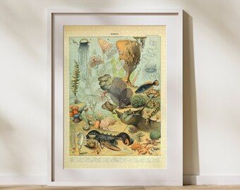 Vintage Ocean Life Jigsaw Puzzle: Adolphe Millot Marine Illustration