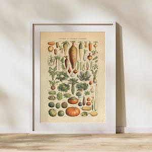 Puzzle Klasyfikacja Warzyw 300/500/1000 Elementów, Zabytkowy Edukacyjny Plakat Identyfikujący Jedzenie Adolphe Millot (B)