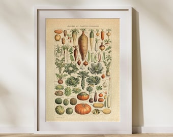Vegetable Classification Jigsaw Puzzle 300/500/1000 Piece, Vintage Educational Identification Poster of Food by Adolphe Millot (B)
