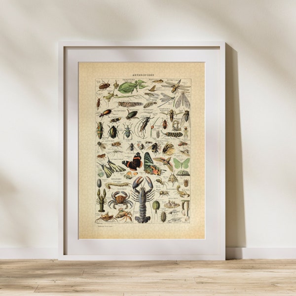 Arthropods Classification Jigsaw Puzzle 300/500/1000 Piece, Vintage Educational Identification Poster of Animals by Adolphe Millot