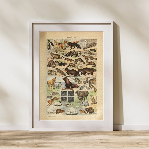 Furry Animals Classification Jigsaw Puzzle 300/500/1000 Piece, Vintage Educational Identification Poster of Animals by Adolphe Millot