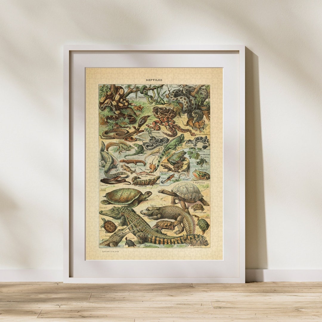 Reptiles Vintage Art Jigsaw Puzzle - 500 Pieces, Adolphe Millot Illustration, Premium Quality