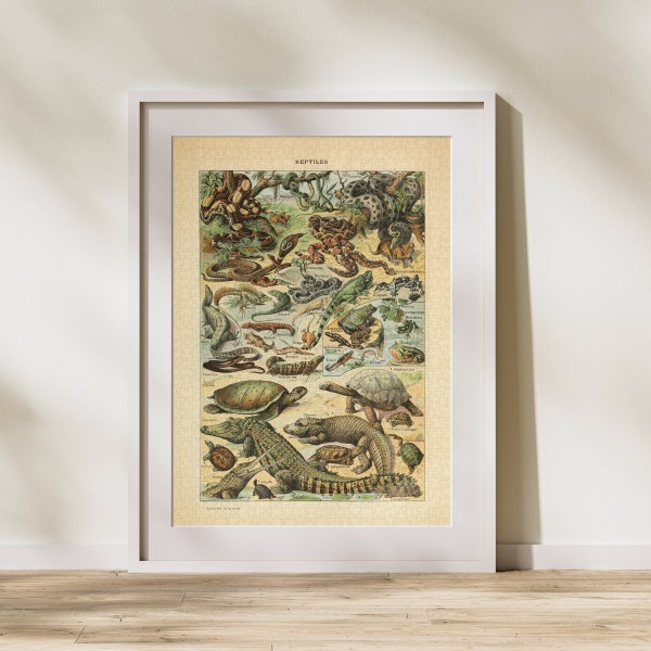 Reptiles Illustration Jigsaw Puzzle 300/500/1000 Piece, Vintage Educational Identification Poster of Animals by Adolphe Millot (A)