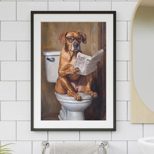May include: A brown dog wearing glasses sits on a white toilet and reads a newspaper. The dog is wearing a pair of glasses and has a serious expression on its face. The newspaper has the letter "B" visible on the front page.