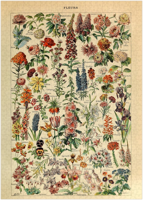 Flower Classification Jigsaw Puzzle 300/500/1000 Piece