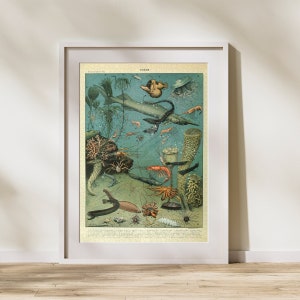 Ozean Illustration Puzzle 300/500/1000 Teile, Vintage Lernposter von Leben im Meer von Adolphe Millot (A)