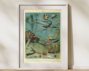 Adolphe Millot Sea Life Jigsaw Puzzle: Vintage Ocean Illustration