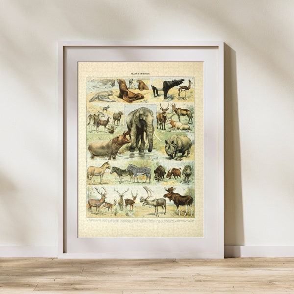 Mammal Classification Jigsaw Puzzle 300/500/1000 Piece, Vintage Educational Identification Poster of Animals by Adolphe Millot (C)