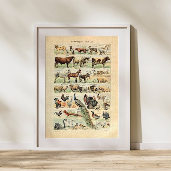 Domestic Animals Classification Jigsaw Puzzle 300/500/1000 Piece, Vintage Educational Identification Poster by Adolphe Millot