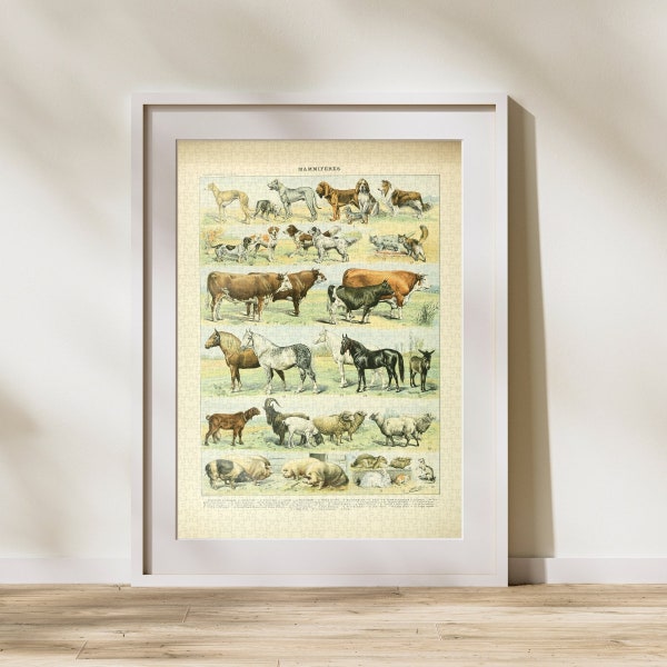 Mammal Classification Jigsaw Puzzle 300/500/1000 Piece, Vintage Educational Identification Poster of Animals by Adolphe Millot (F)