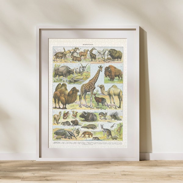 Mammal Classification Jigsaw Puzzle 300/500/1000 Piece, Vintage Educational Identification Poster of Animals by Adolphe Millot (E)
