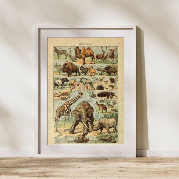 Mammal Classification Jigsaw Puzzle 300/500/1000 Piece, Vintage Educational Identification Poster of Animals by Adolphe Millot (A)