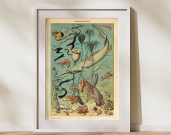 Vintage Oceanography Illustration Jigsaw Puzzle: Adolphe Millot Educational Art