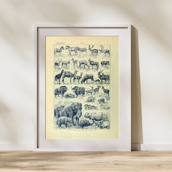 Mammal Classification Jigsaw Puzzle 300/500/1000 Piece, Vintage Educational Identification Poster of Animals by Adolphe Millot (G)