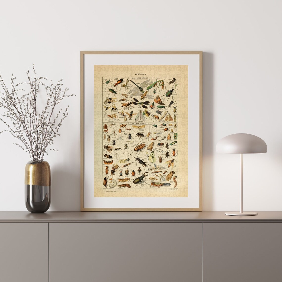 Insect Classification Jigsaw Puzzle 300/500/1000 Piece, Vintage
