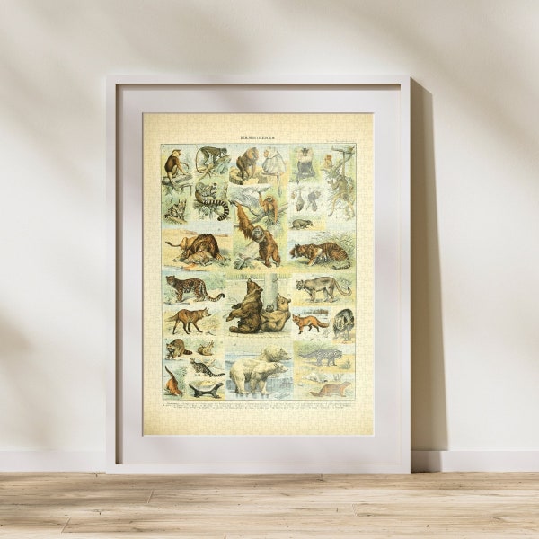 Mammal Classification Jigsaw Puzzle 300/500/1000 Piece, Vintage Educational Identification Poster of Animals by Adolphe Millot (D)