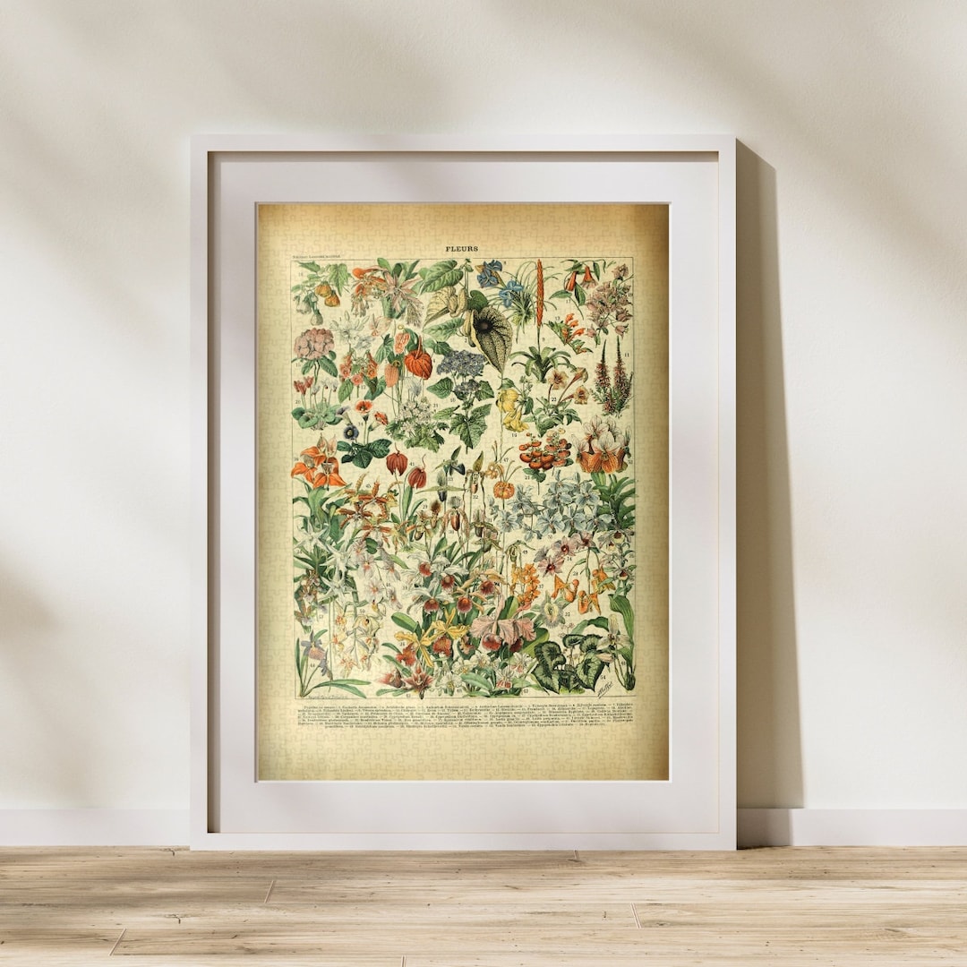 Flower Classification Jigsaw Puzzle 300/500/1000 Piece, Vintage