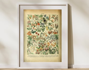 Flower Classification Jigsaw Puzzle 300/500/1000 Piece, Vintage Educational Identification Poster of Botany by Adolphe Millot (D)