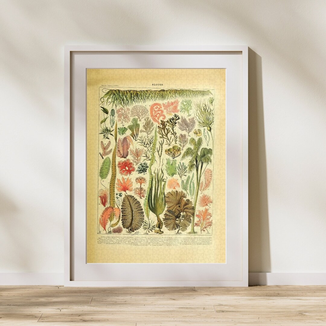 Flower Classification Jigsaw Puzzle 300/500/1000 Piece, Vintage