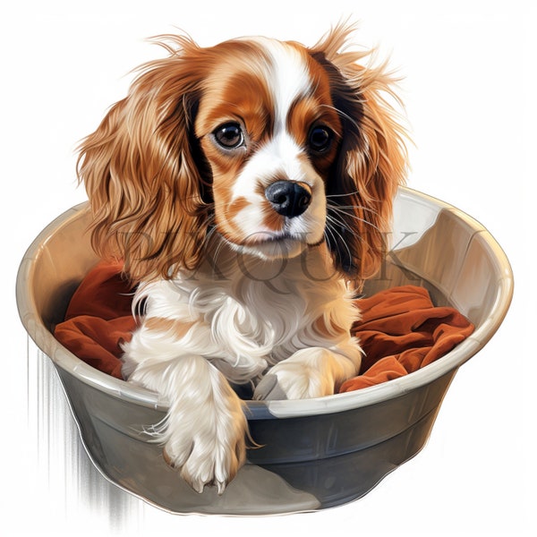 Cavalier King Charles Spaniel Clipart aquarelle | 10 fichiers JPG de haute qualité | Portrait de chien | JPG Cavalier King Charles | Journal indésirable