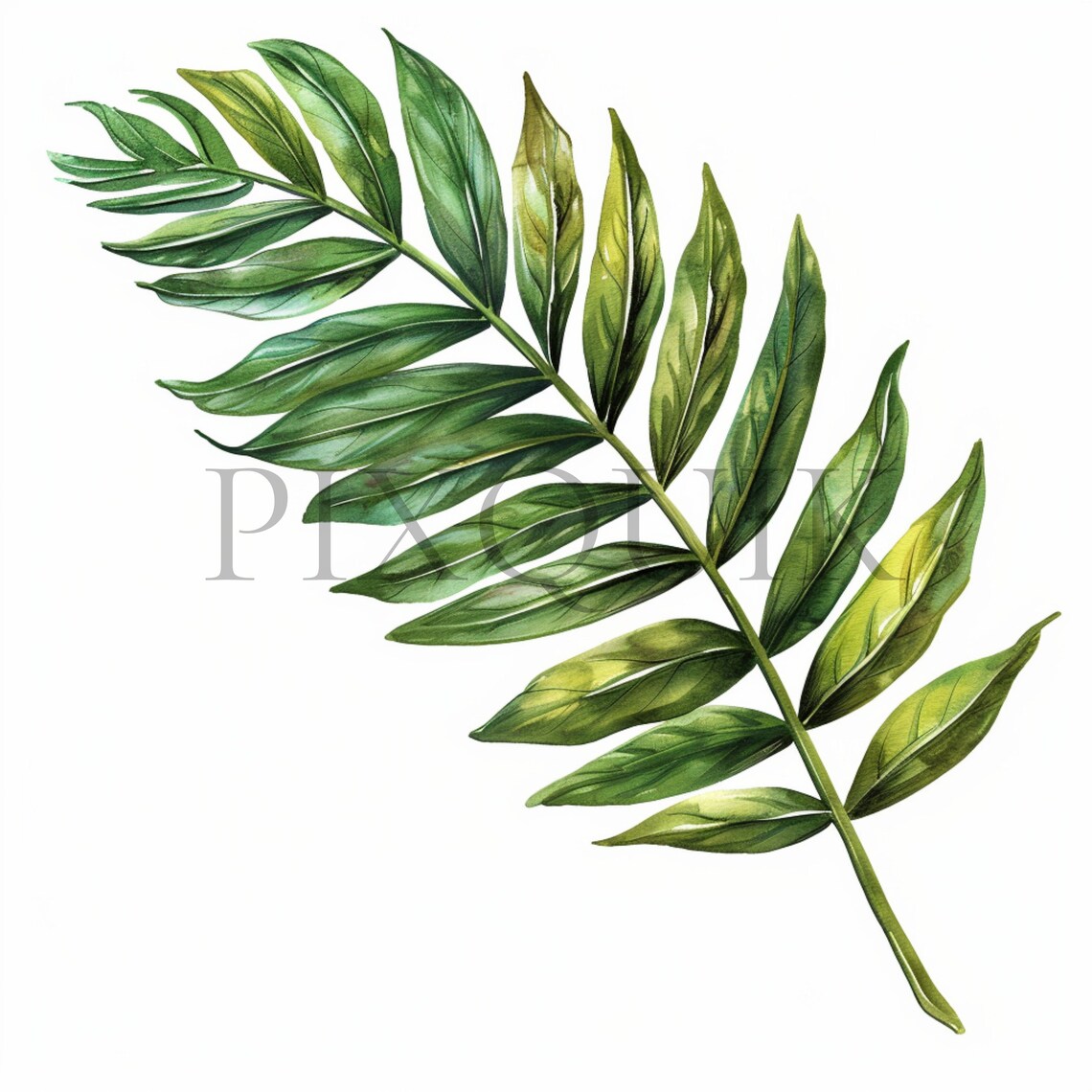 Palm Leaf Clip Art 10 High Quality JPG Jungle Leavees Palm Branch Junk