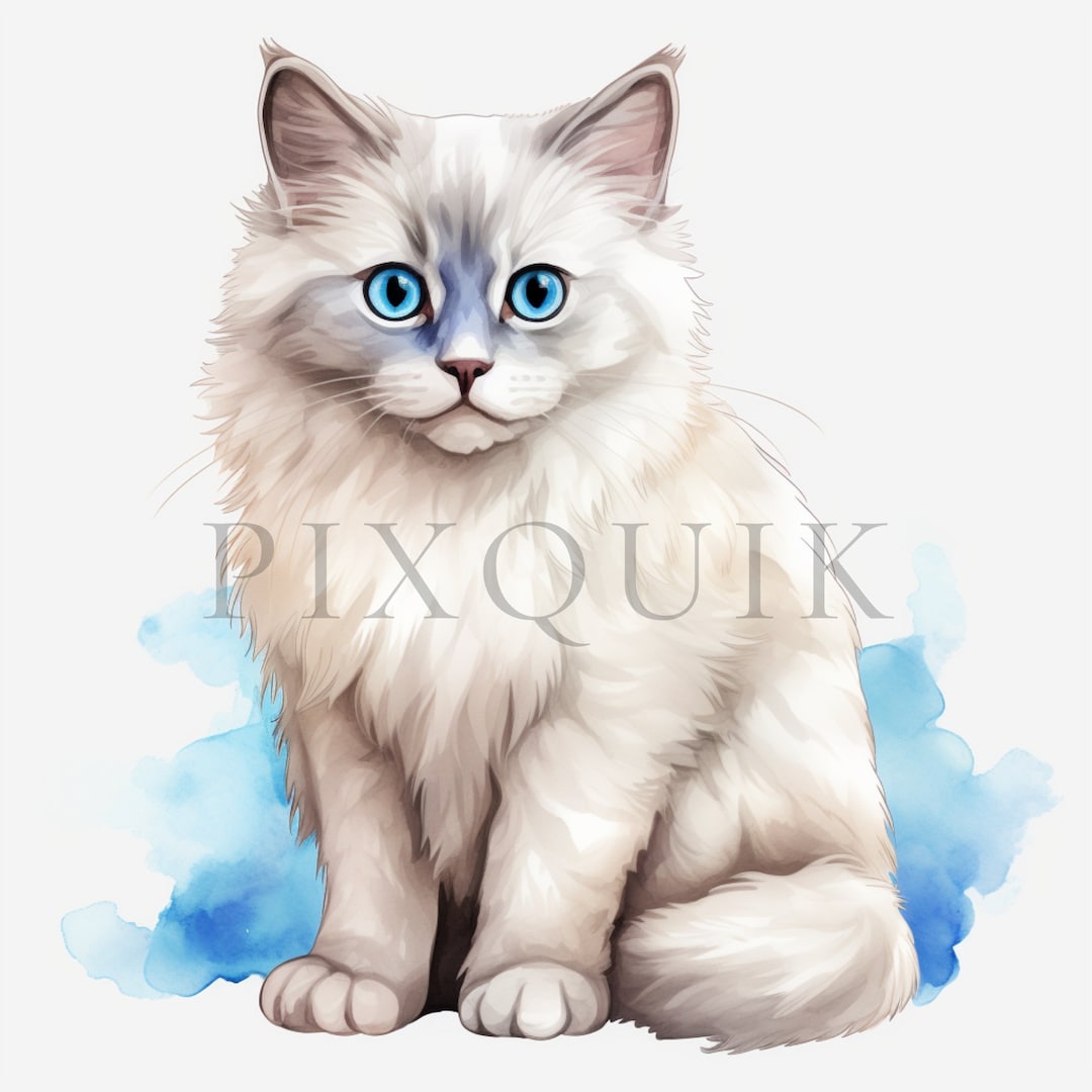 水彩ラグドール猫のクリップアート | かわいい子猫アート（JPGデジタル