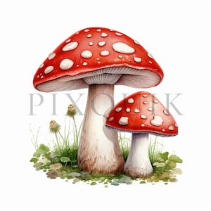 Clipart champignon vénéneux | 10 fichiers JPG de haute qualité | Téléchargement numérique instantané | Clipart champignon | Clipart automne | Clipart nature | Aquarelle de champignon