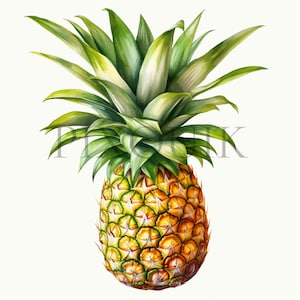 Clipart di ananas ad acquerello / 10 JPG di alta qualità / Clipart di frutta / clipart ad acquerello / Download immediato / Pacchetto clipart /