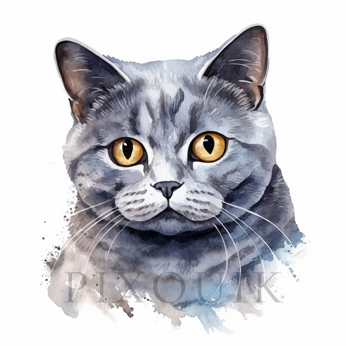 Watercolor British Shorthair Clipart | Cat Illustration (digital ...