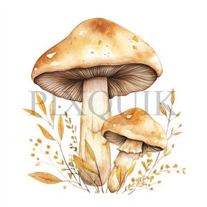 Imágenes prediseñadas de setas otoñales / 10 archivos JPG de alta calidad / Setas otoñales / Arte de setas en acuarela / Gráfico digital de otoño, creación de tarjetas