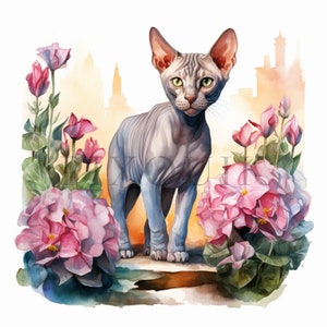 Sphynx Cat Floral Illustration | High-quality Jpgs (digital Download ...