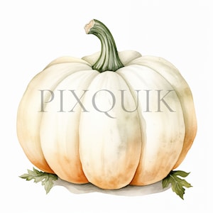 citrouille blanche | 10 fichiers JPG de haute qualité | Citrouille | Clipart aquarelle | Téléchargement numérique, fabrication de cartes, clipart chambre d'enfant