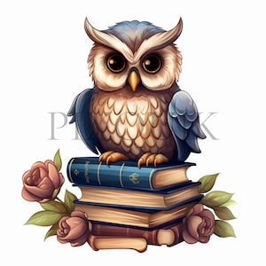 Gufo sui libri Clipart Set / 10 JPG di alta qualità / Grafica di lettura del gufo / Illustrazioni educative / Album di ritagli, stampabile, uso commerciale