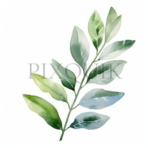 a watercolor painting of green leaves on a white background