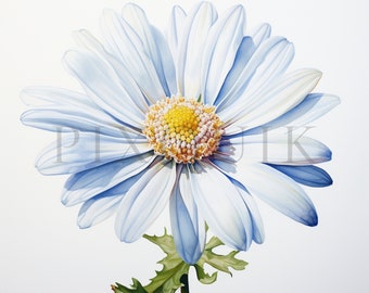 Clipart de margaritas en acuarela: gráficos de flores en formato JPG de alta calidad (descarga digital)