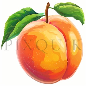 Peach Clipart | 10 High Quality JPGs | Watercolor Fruit | Watercolor Peach | Peach Vector | Instant Digital Download | Fruit Clipart | Peach