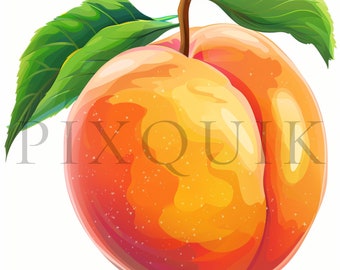 Watercolor Peach Clipart | 10 JPGs, Fruit Vector (Digital Download)