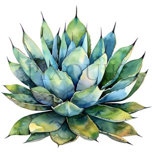 Clipart di agave acquerello / Pianta messicana / 10 JPG di alta qualità / Arte botanica / Album di ritagli, stampabile, uso commerciale, download digitale