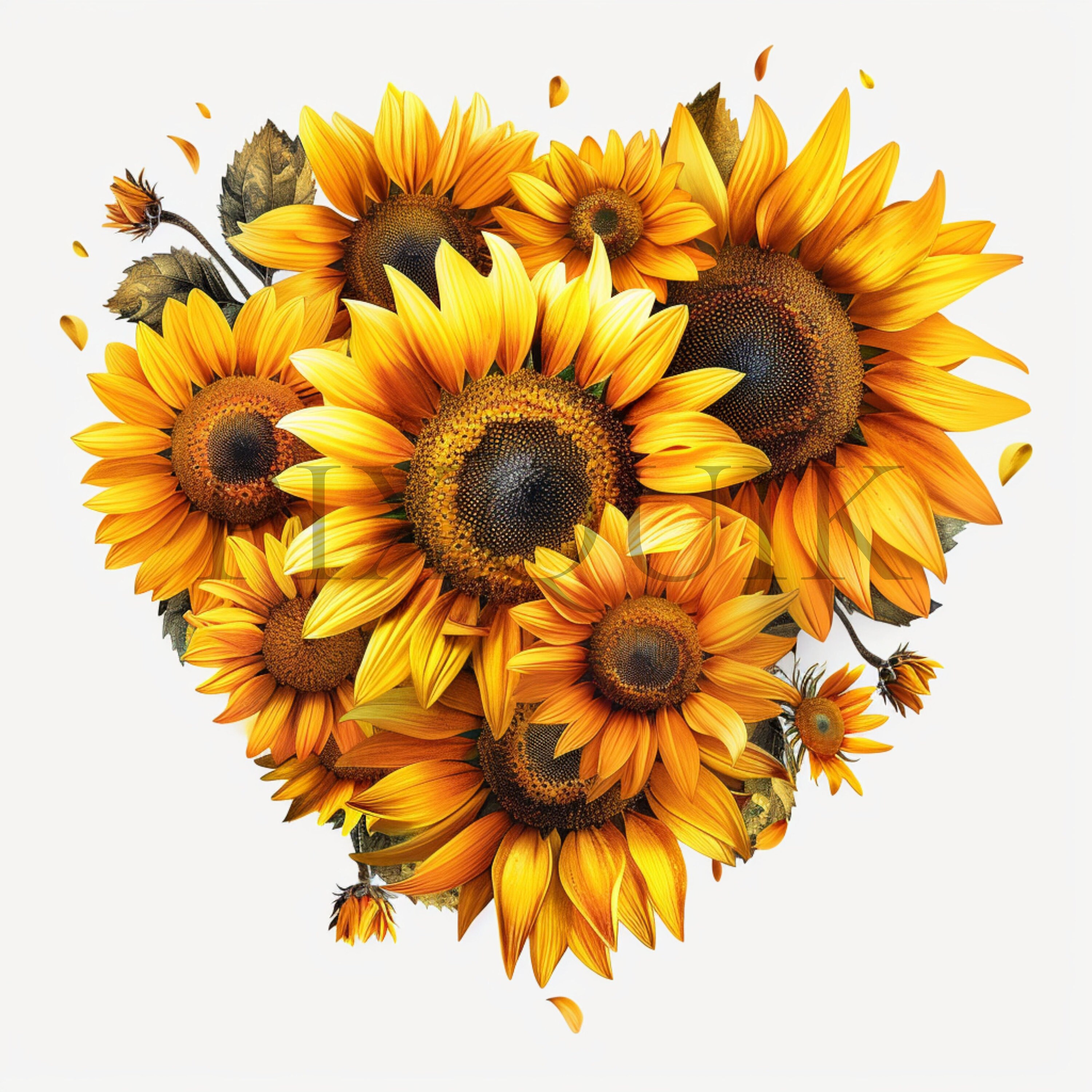 Heart Sunflower Clipart | Floral JPG Set (digital Download) - Etsy