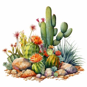 Clipart aquarelle de plantes du désert | 10 fichiers JPG de haute qualité | Art de cactus |  Illustrations Flore | Scrapbooking, imprimable, usage commercial
