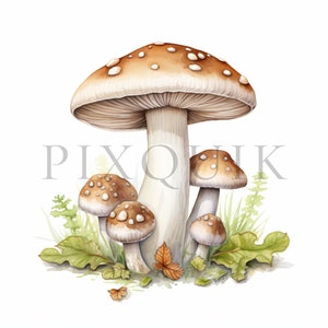 Cottagecore Mushroom Clipart  | 10 High Quality JPGs | Digital download | Card Making | Cottagecore | Mushroom Watercolor | Mushroom Clipart