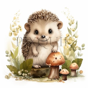 Ouriço Clipart | Woodland Animal Clipart | 10 JPG de alta qualidade | Cute Hedgehog clipart | Forest Animal Clipart | Download digital,