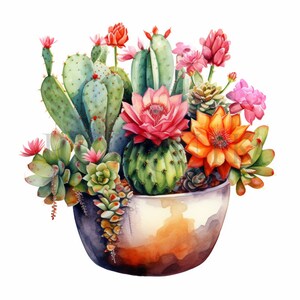 Watercolor Cactus Clipart Set – High-quality Jpgs, Commercial Use ...
