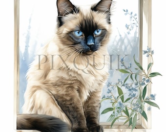 Siamese kat aquarel clipart | Afdrukbare kittenkunst (digitale download)