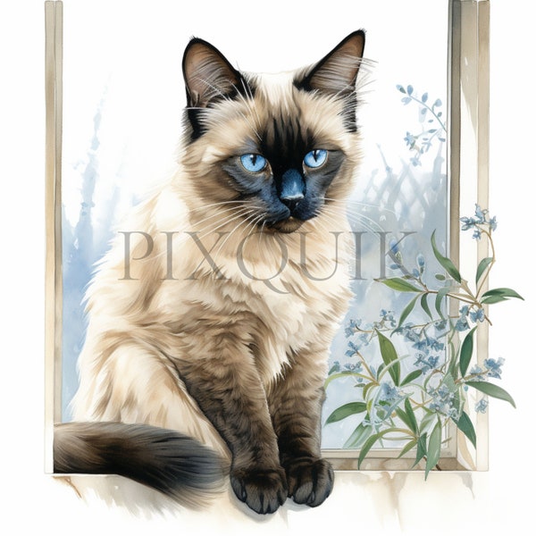 Siamese cat Clipart | 10 High Quality JPGS | siamese Kitten Clipart | Printable Watercolor clipart | Digital download, Paper craft,