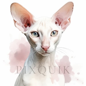 Acquerello Gatto Orientale a Pelo Corto Clipart / 10 JPG di Alta Qualità / Orientale a Pelo Corto / Gatto a Pelo Corto Stampabile / Tecnica Mista / Carta artigianale